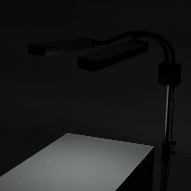 LED lamp for eyelashes and makeup polluks ii type msp-ld01