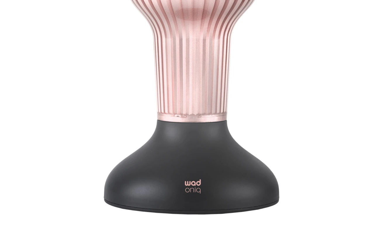 Hair Dryer with Diffuser ONIQ